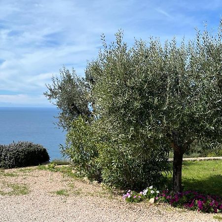 Stella D'Argento Acomodação com café da manhã Porto Santo Stefano  Exterior foto