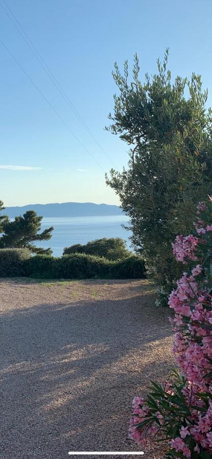 Stella D'Argento Acomodação com café da manhã Porto Santo Stefano  Exterior foto