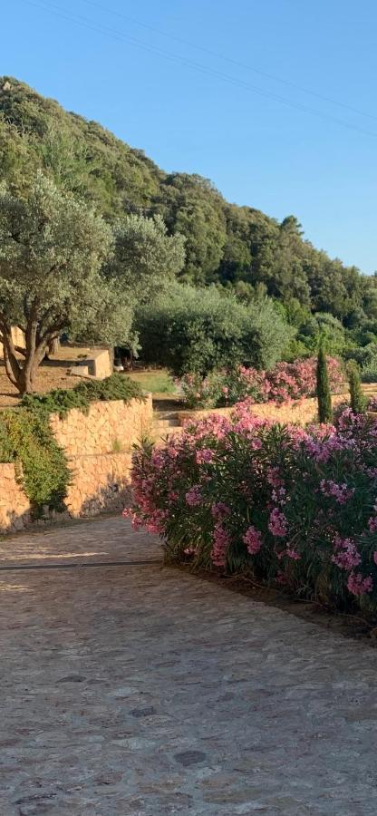 Stella D'Argento Acomodação com café da manhã Porto Santo Stefano  Exterior foto