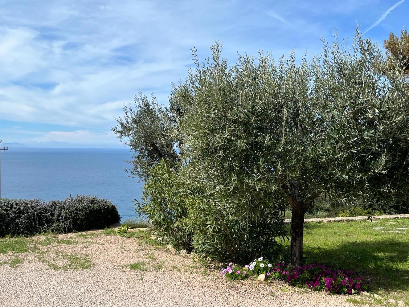 Stella D'Argento Acomodação com café da manhã Porto Santo Stefano  Exterior foto